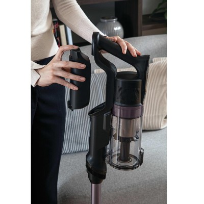 Skaftdammsugare HF1 Plus Home 165W