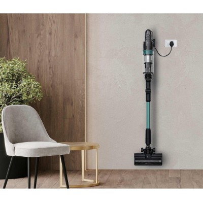 Skaftdammsugare HF1 Plus Pet Flexi 165W