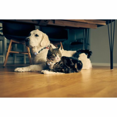 Lilcat - Lilcat 2 GPS-Tracker för Katter - A13681