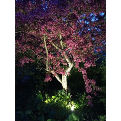 LightsOn - Luna Startpaket 2 x Trädgårdsspot Svart - 5082LI