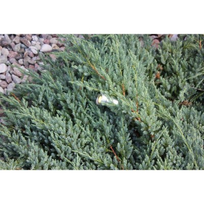 LightsOn - Optica trädgårdsspot Aluminium - 5003