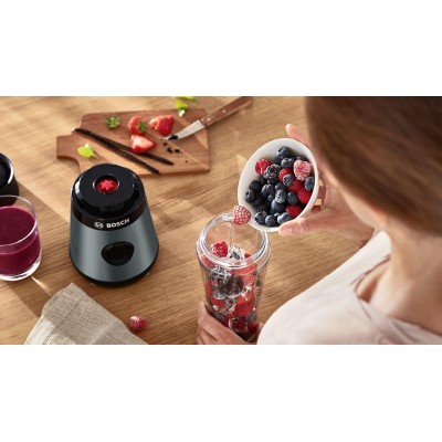 Bosch - MMB2111S - Serie 2, Blender, VitaPower, 450 W, Silver