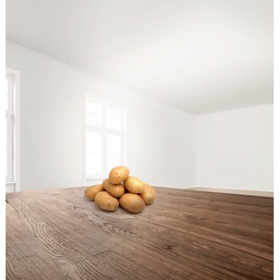 Bosch - MUZ45RS1 - Rivjärn, grov