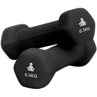 Fitpaddy - Dumbbells Premium 2 x 0.5 kg - A13084