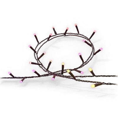 Philips Hue - Festavia ljusslinga Inom-/utomhus 500 LED 40m - A11130