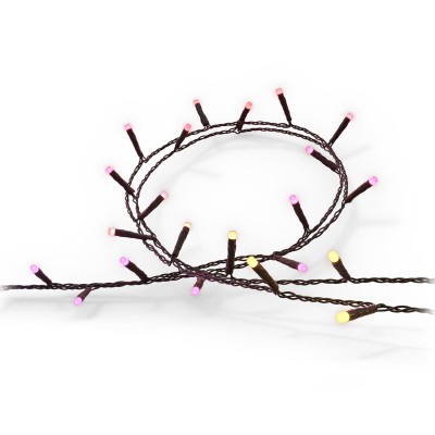 Philips Hue - Festavia ljusslinga Inom-/utomhus 500 LED 40m - A11130