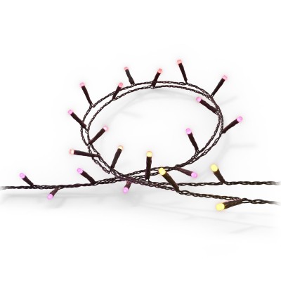 Philips Hue - Festavia ljusslinga Inom-/utomhus 250 LED 20m - A11129