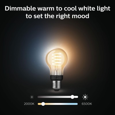 Philips Hue - White Ambiance Filament E27 A60 40W - 929002477501