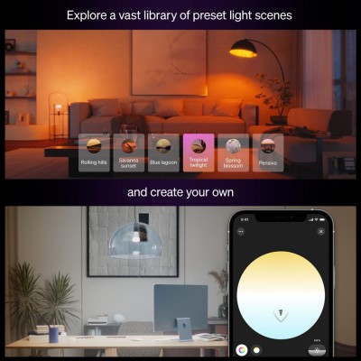 Philips Hue - White and Color Ambiance E27 810lm 2-pack - A15454