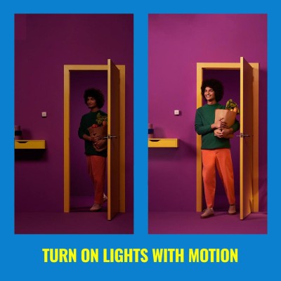 WiZ - WiFi Trådlös rörelsesensor - A12504