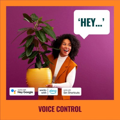 WiZ - WiFi Pole Golvlampa RGB Multicolor 150cm - A12502