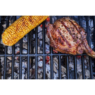 Char-Broil - Hybridgrill Gas2Coal 2.0 3+1 Brännare  140925 - A14279