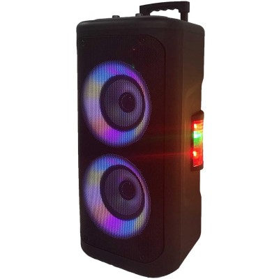 Party-högtalare Portabel 2x6,5" woofer Bluetooth LED-ljus 400W max TSP-353